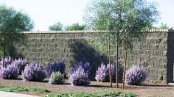 Example of wall installation at Power Ranch in Gilbert Arizona by Proto II Wall Systems